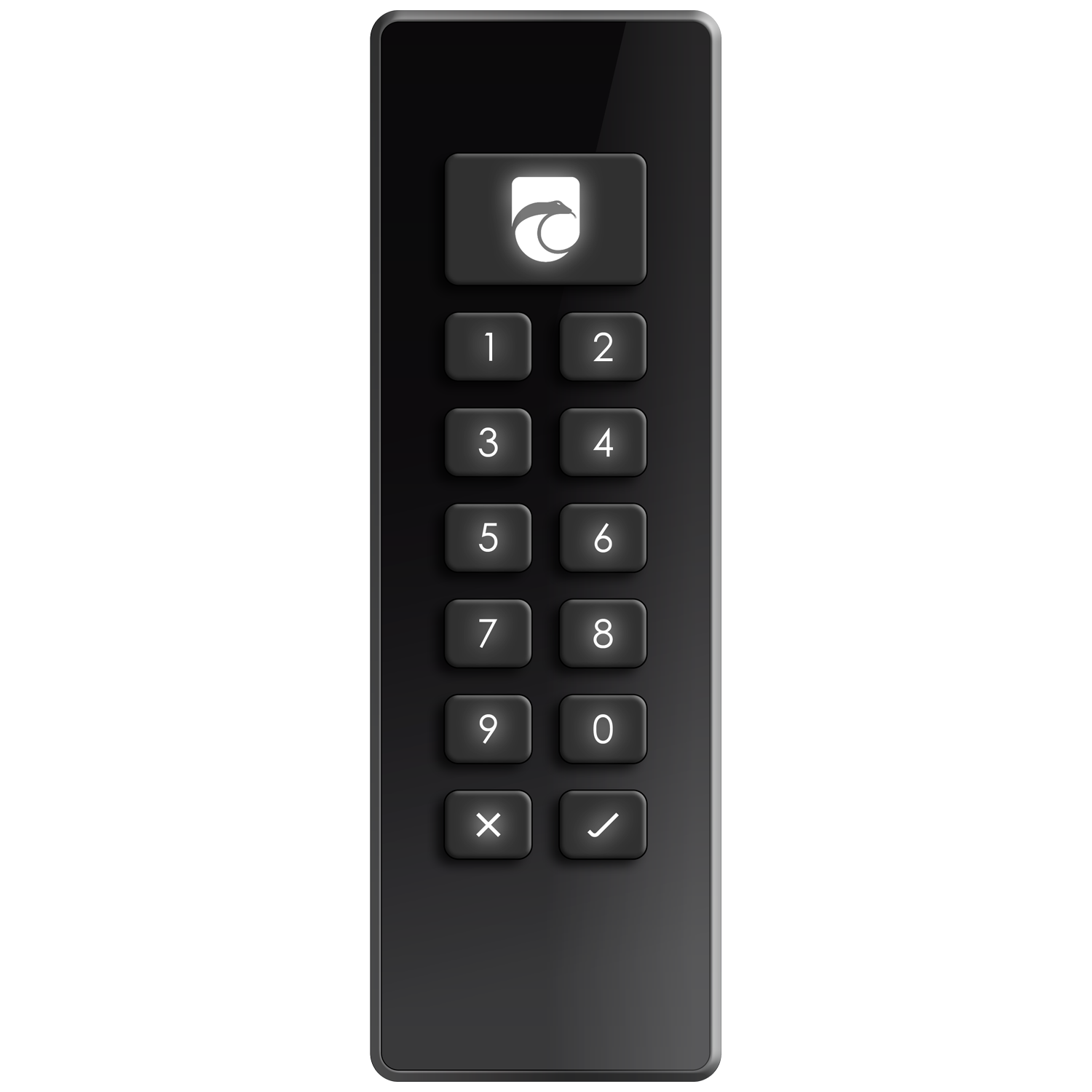 Frontansicht des Kobra Stick VS